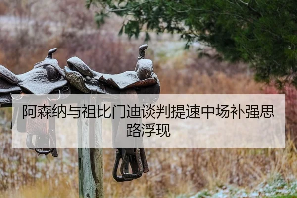 阿森纳与祖比门迪谈判提速中场补强思路浮现